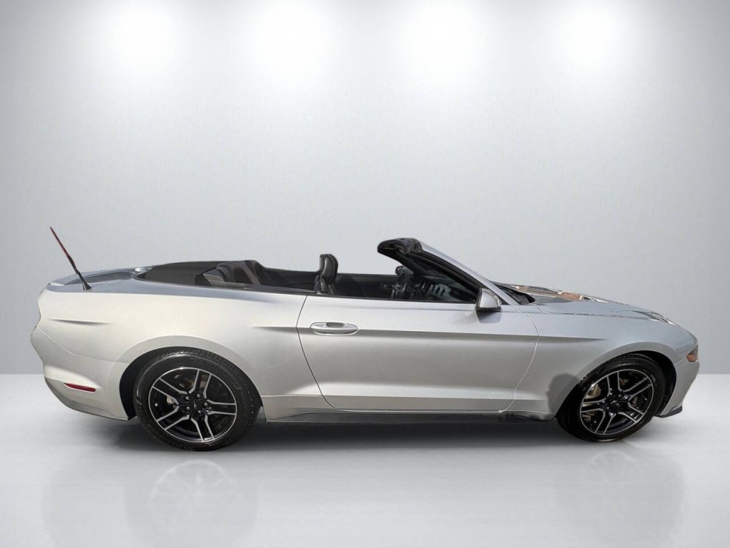 2019 Ford Mustang Image 8