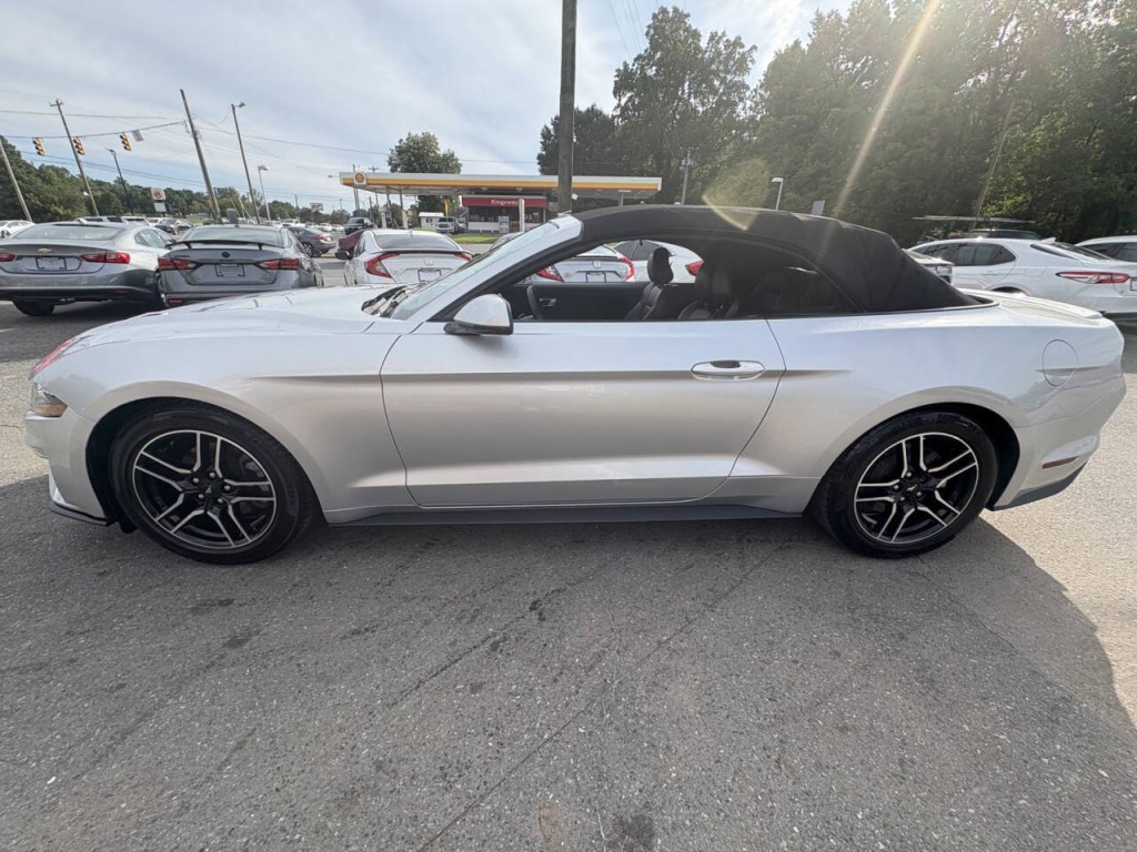 2019 Ford Mustang Image 12