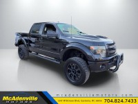 Image for 2013 Ford F-150 FX4 SuperCrew 5.5-ft. Bed ID: 6863595