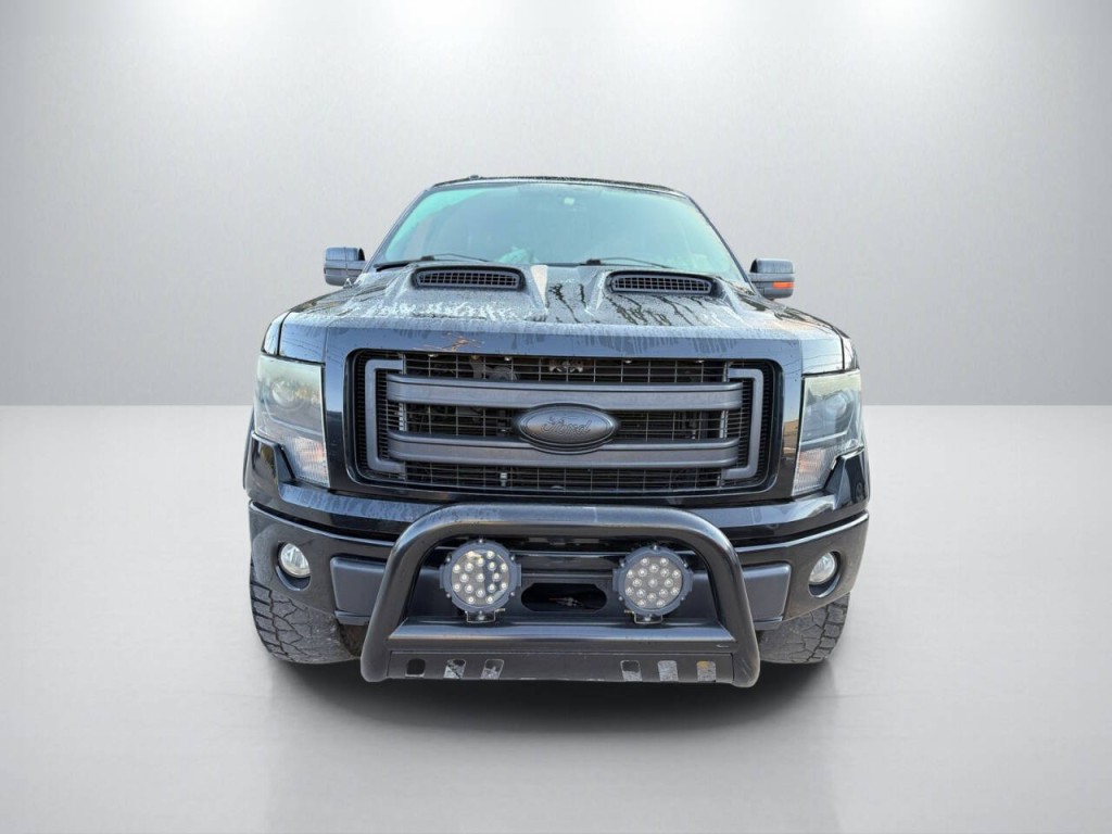 2013 Ford F-150 Image 2