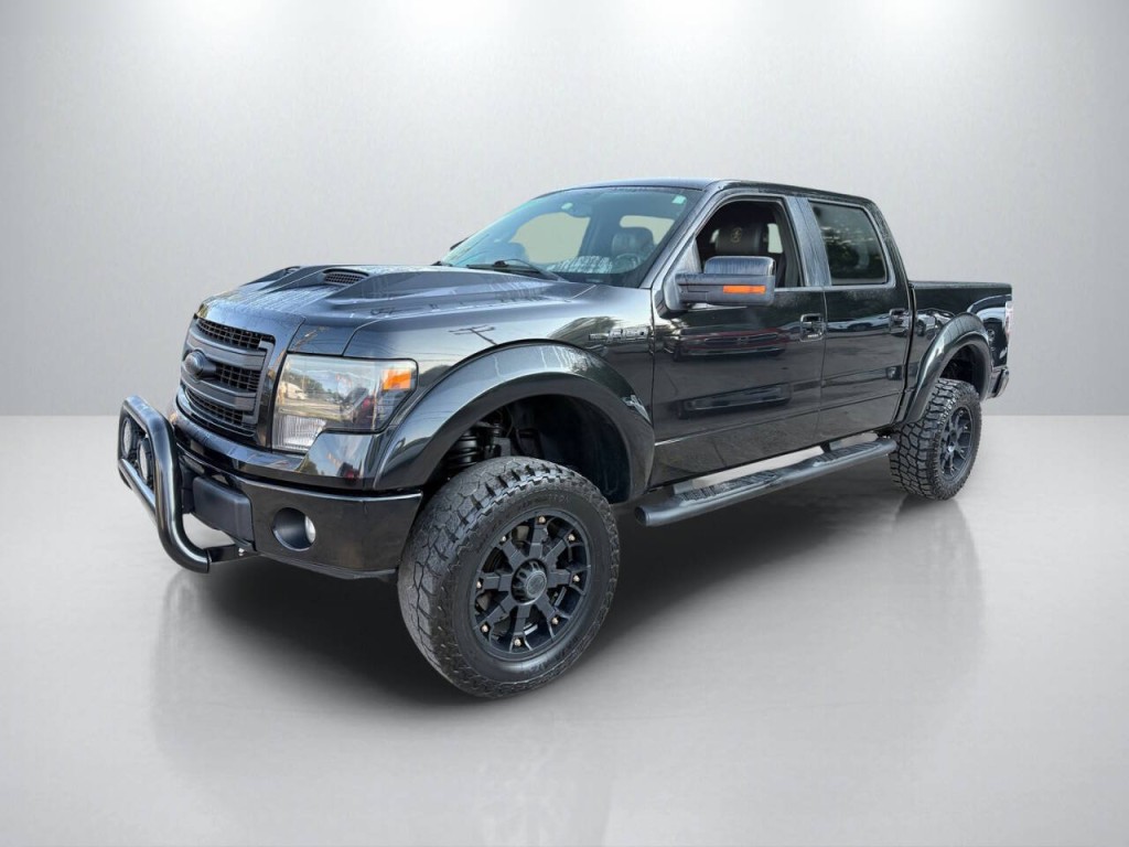 2013 Ford F-150 Image 3