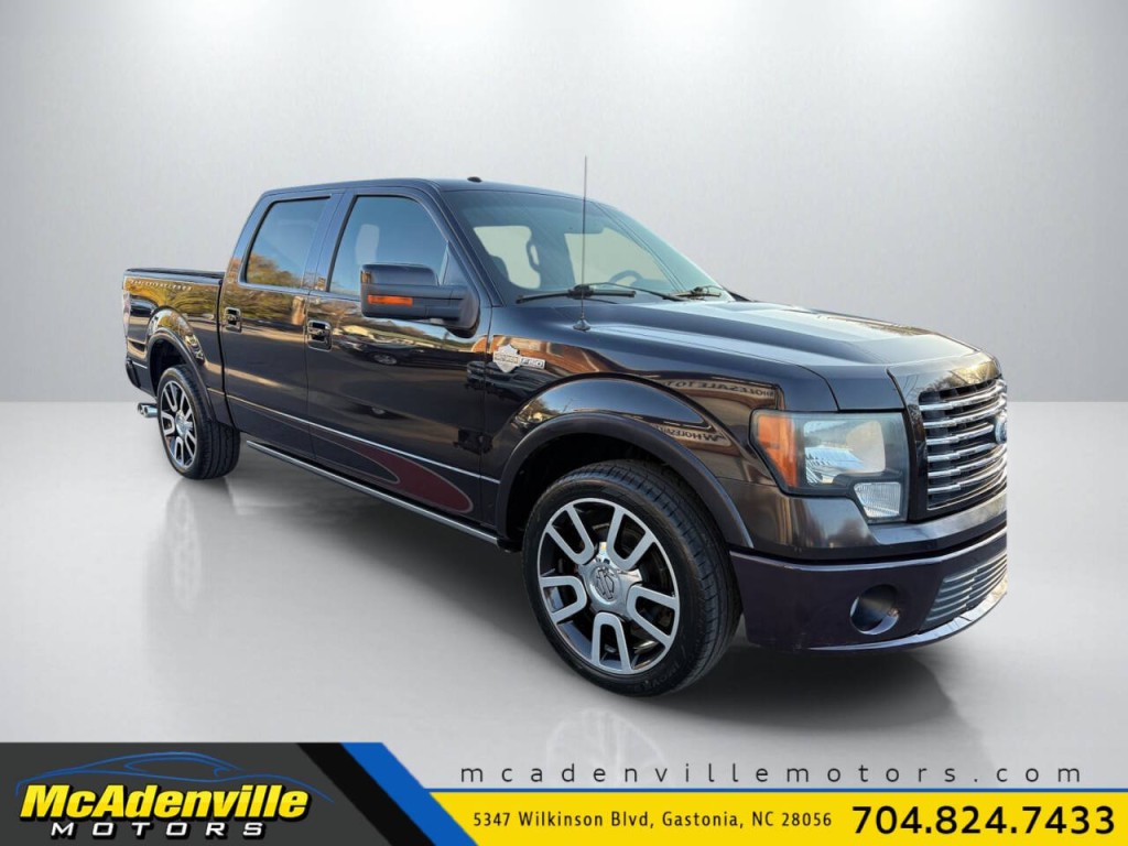 2010 Ford F-150 Image 1