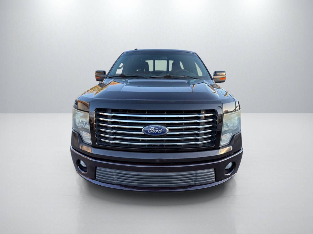 2010 Ford F-150 Image 2