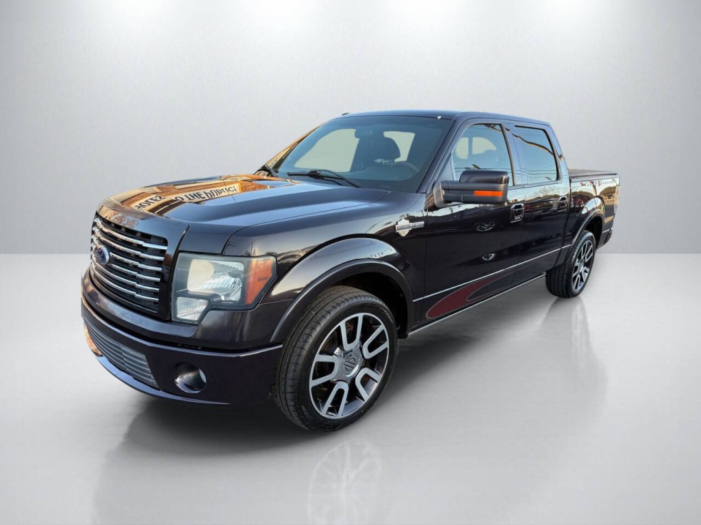 2010 Ford F-150 Image 3