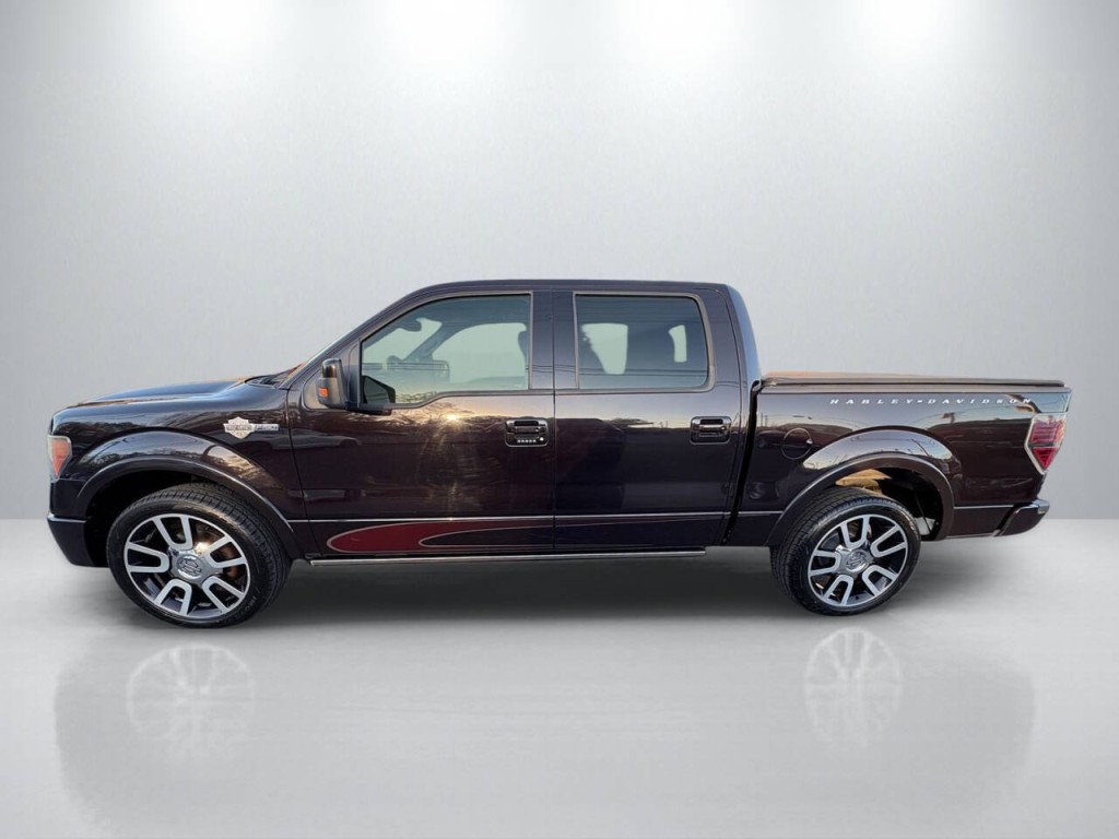 2010 Ford F-150 Image 4