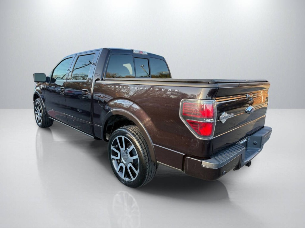 2010 Ford F-150 Image 5