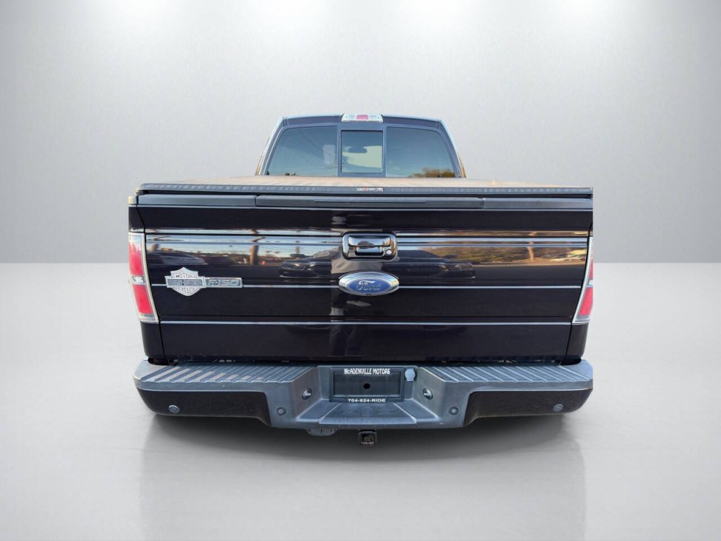 2010 Ford F-150 Image 6
