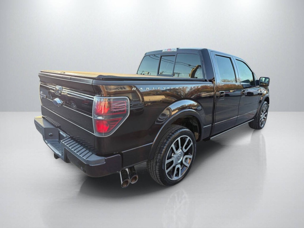 2010 Ford F-150 Image 7