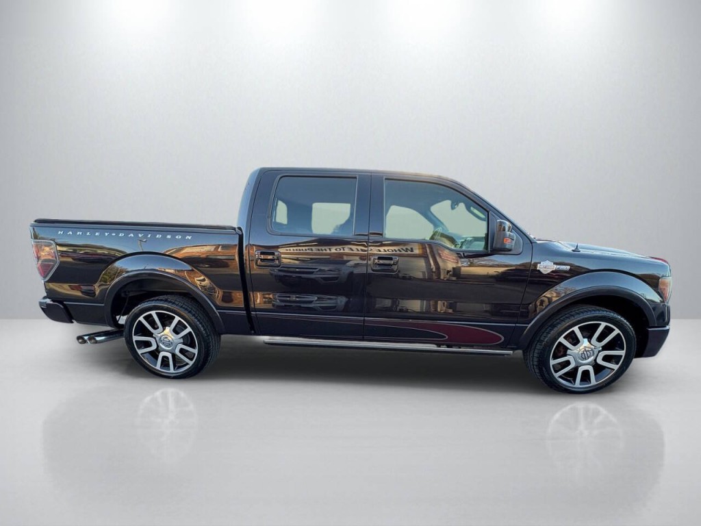 2010 Ford F-150 Image 8