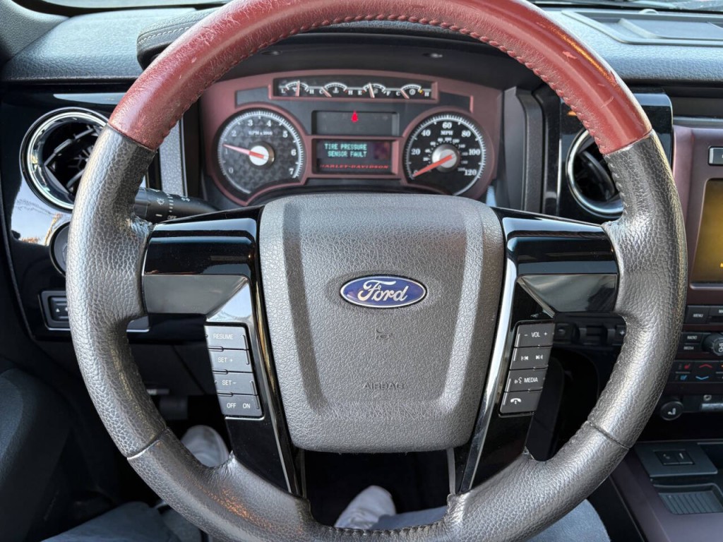 2010 Ford F-150 Image 15