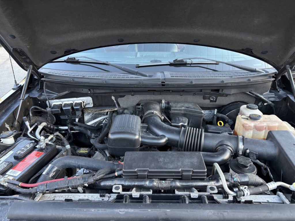 2010 Ford F-150 Image 34