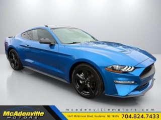Image for 2021 Ford Mustang EcoBoost Fastback ID: 7059952