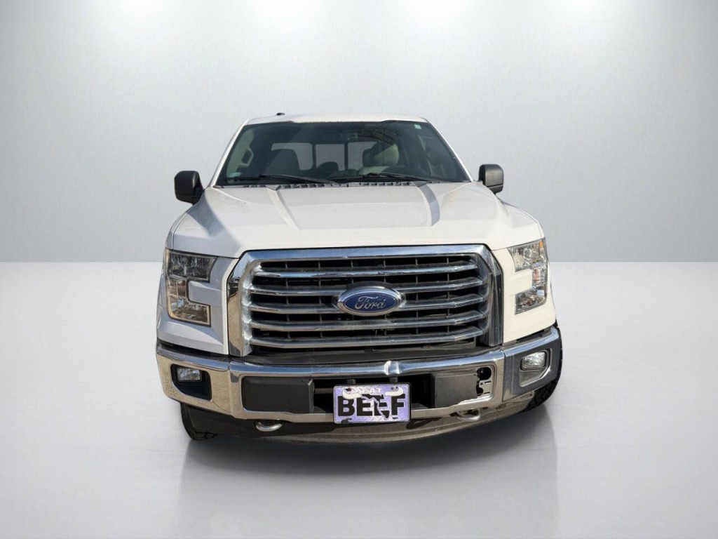 2017 Ford F-150 Image 2