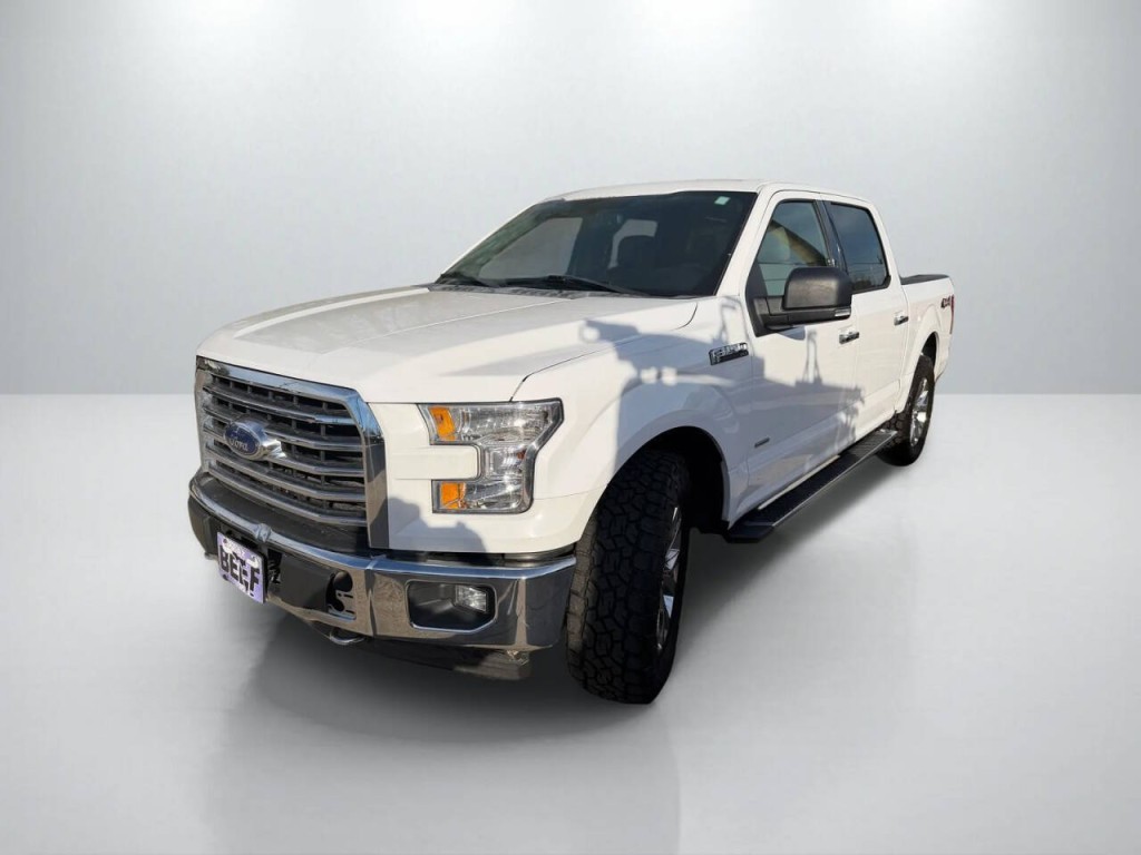 2017 Ford F-150 Image 3