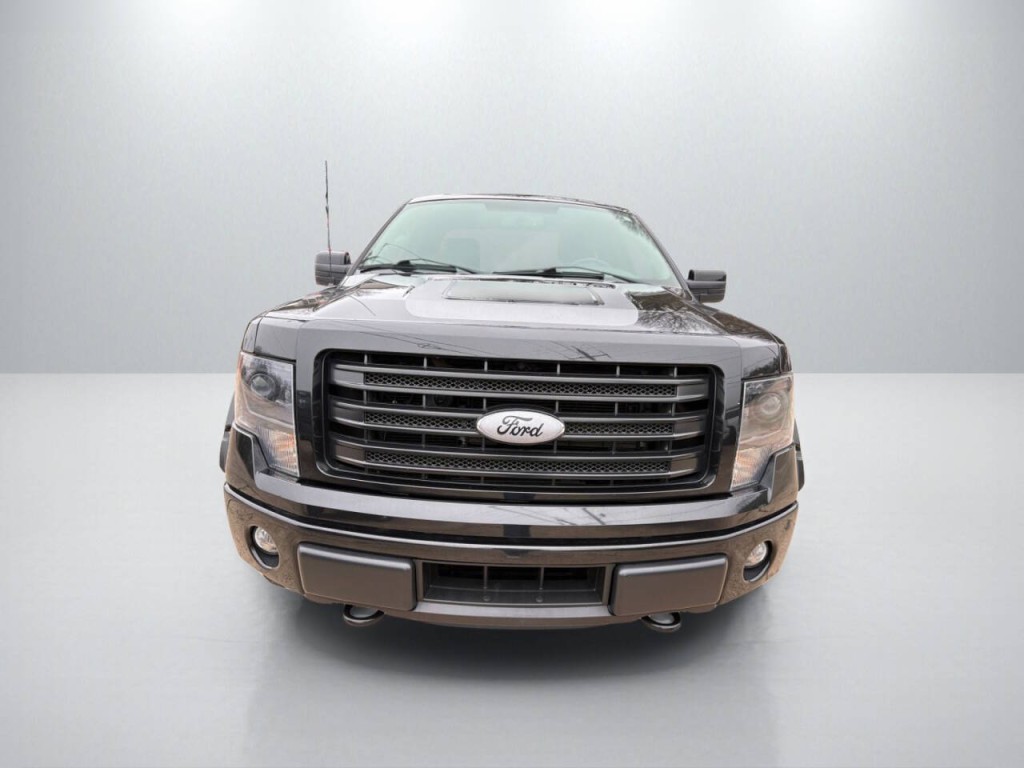 2014 Ford F-150 Image 2