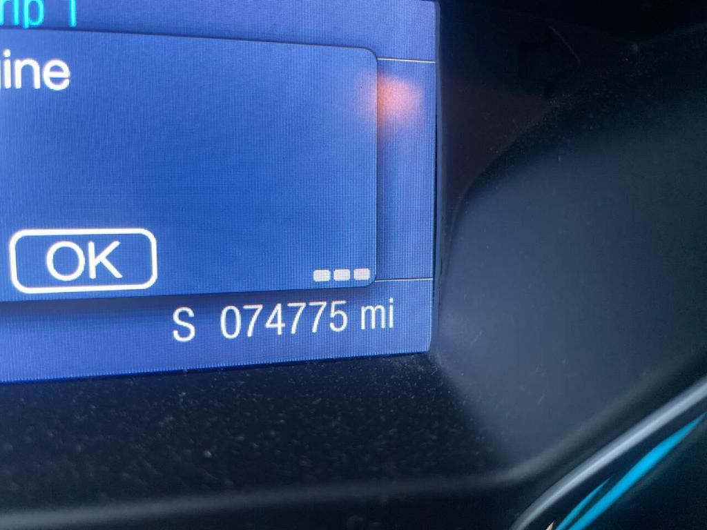 2014 Ford Focus Image 14