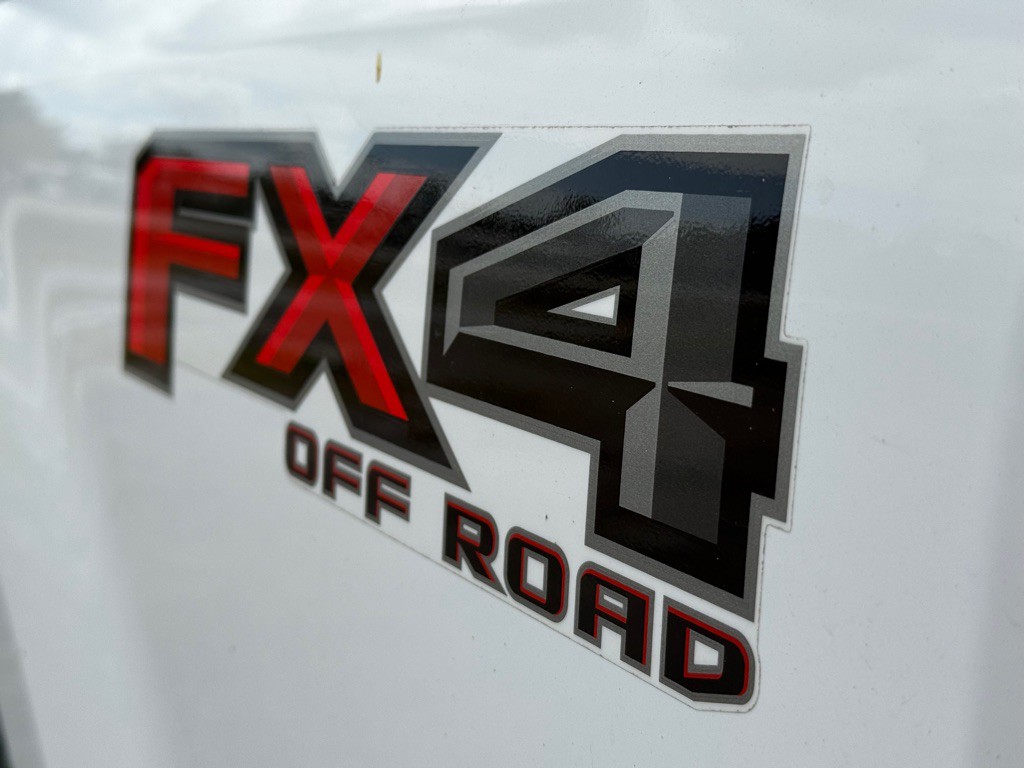 2017 Ford F-250 Image 4