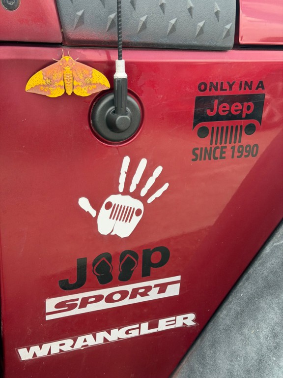 2012 Jeep Wrangler Image 3