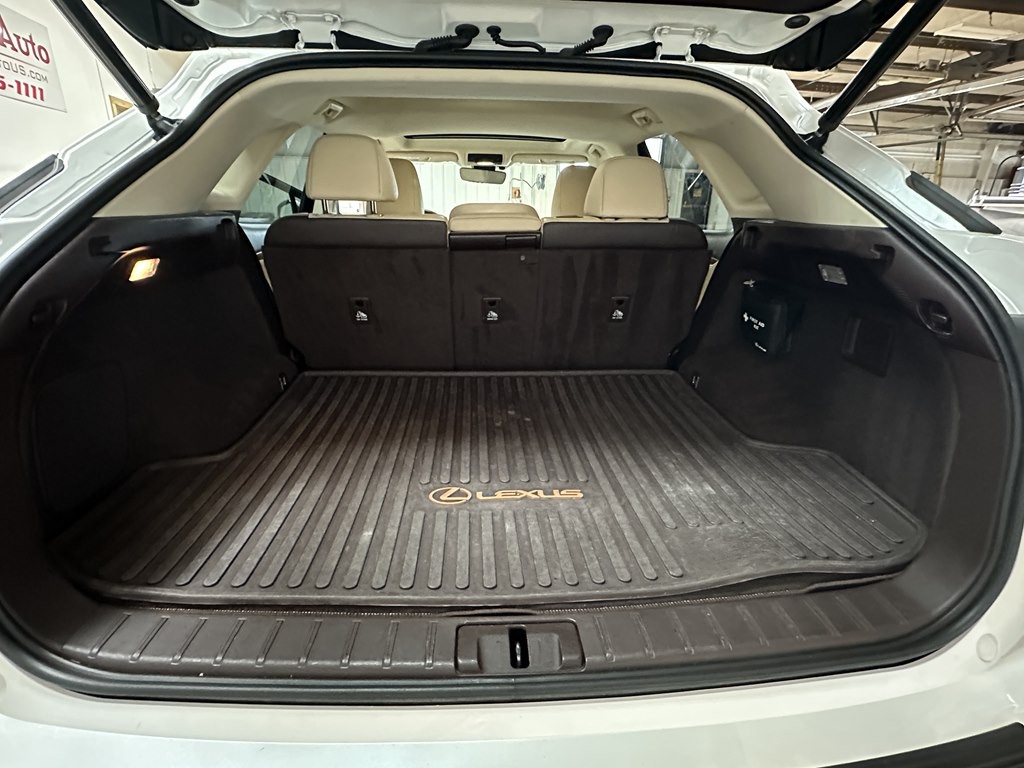 2019 Lexus RX Image 19