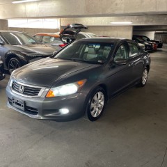 Image for 2010 Honda Accord EXL ID: 7359576