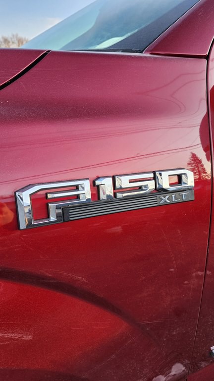 2015 Ford F-150 Image 3