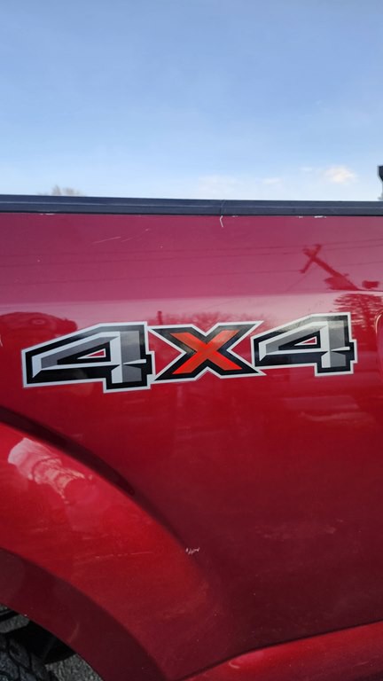 2015 Ford F-150 Image 4