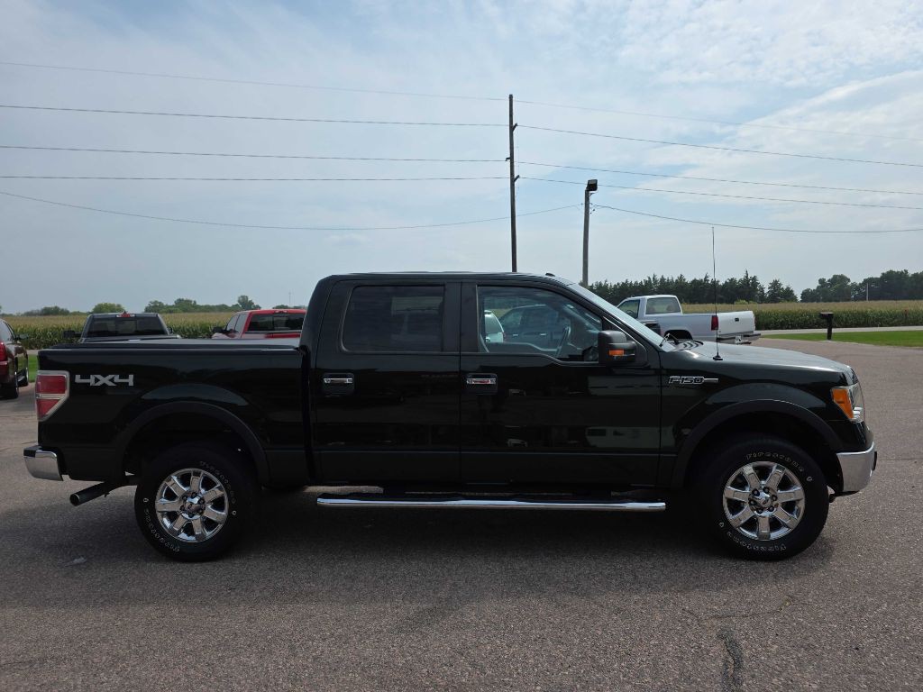 2013 Ford F-150 Image 5