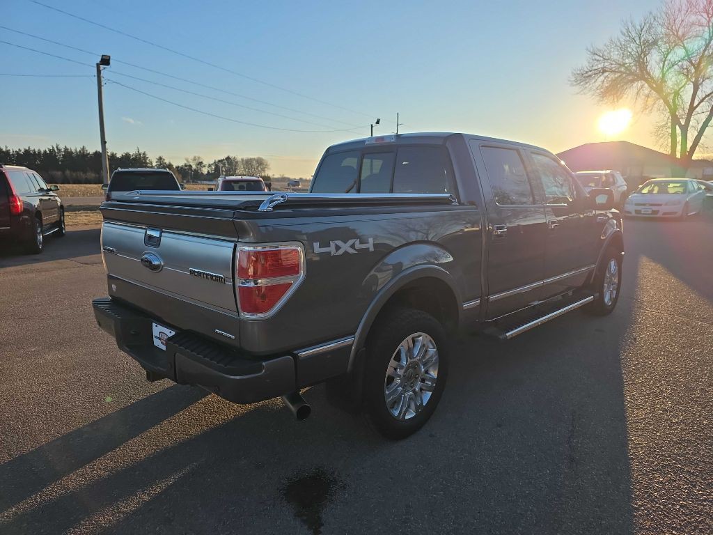 2014 Ford F-150 Image 4