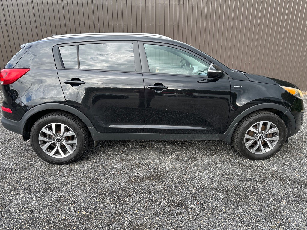 2014 Kia Sportage Image 6