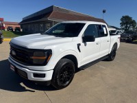 Image for 2025 Ford F-150 XLT ID: 7695869