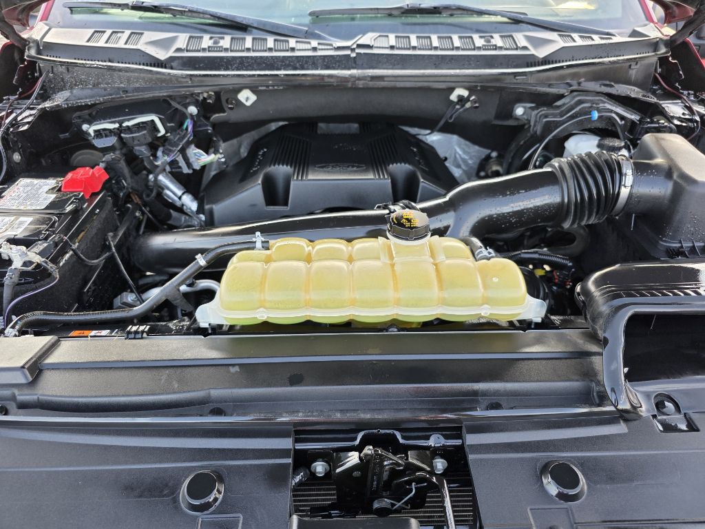 2019 Ford F-150 Image 9