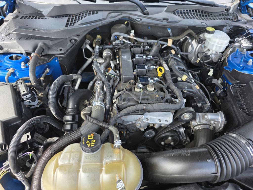 2019 Ford Mustang Image 8