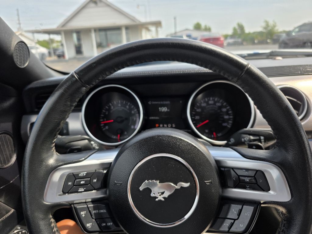 2019 Ford Mustang Image 14