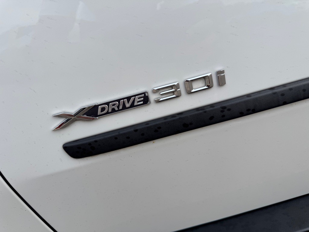 2010 BMW X5 Image 15