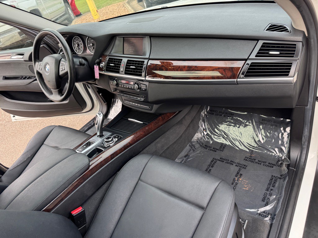 2010 BMW X5 Image 30