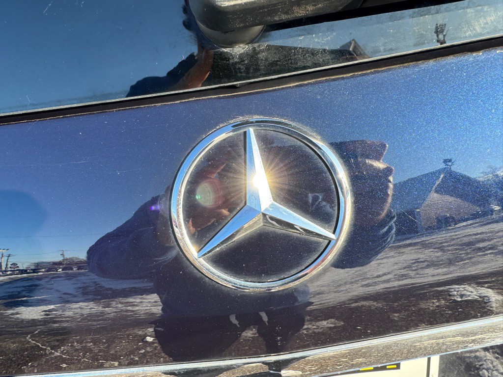 2017 Mercedes-Benz GLS-Class Image 13