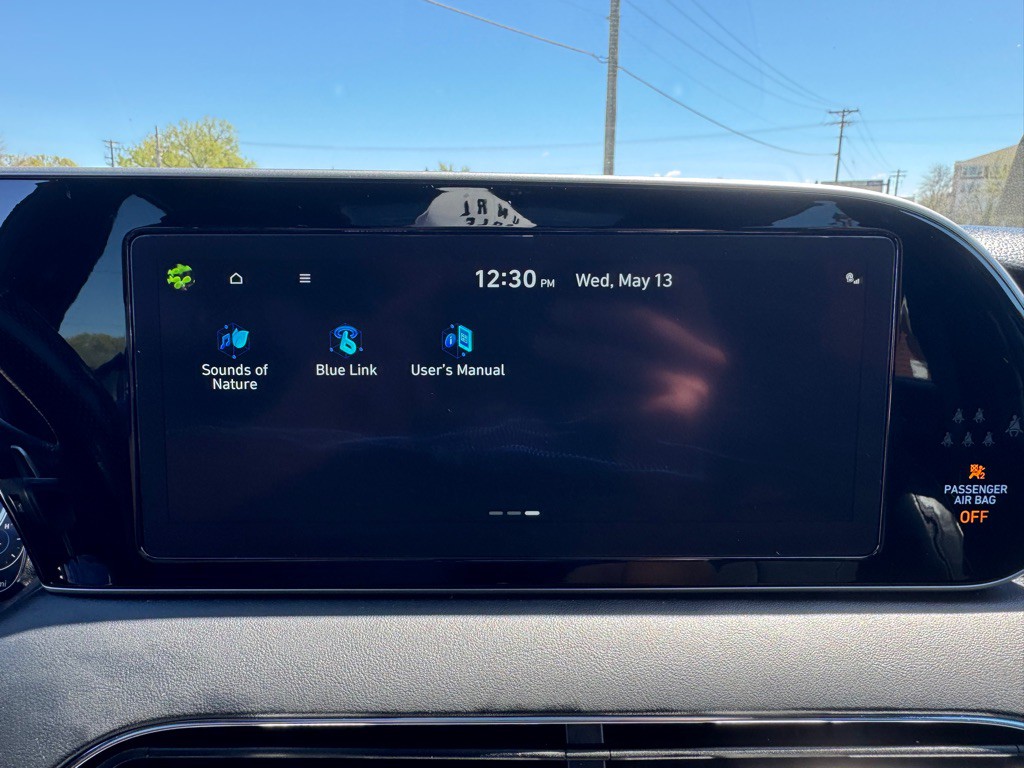 2021 Hyundai Palisade Image 41