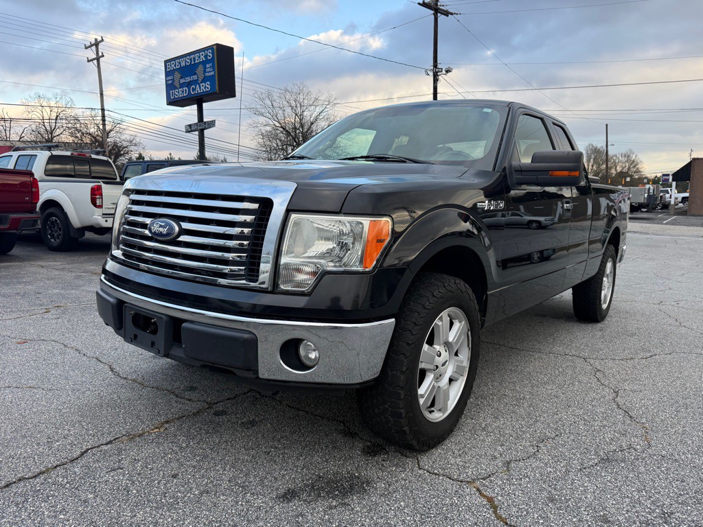 2010 Ford F-150 Image 1