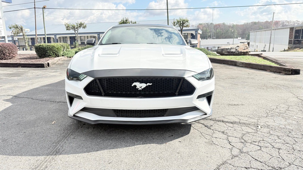 2019 Ford Mustang Image 3