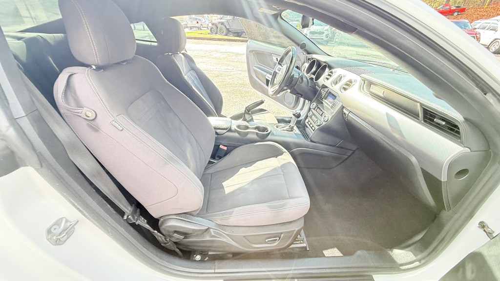 2019 Ford Mustang Image 11