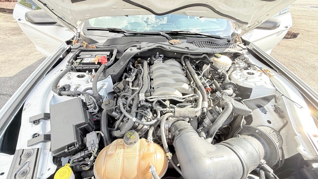 2019 Ford Mustang Image 14