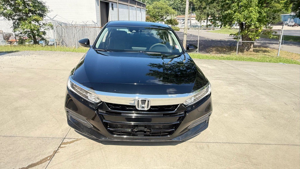 2019 Honda Accord Image 10