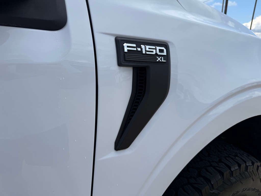 2021 Ford F-150 Image 11