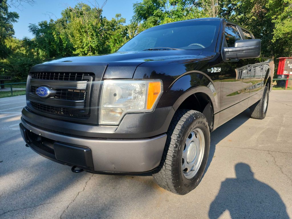 2013 Ford F-150 Image 3
