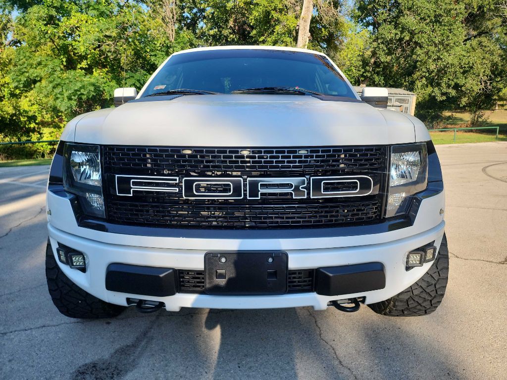 2010 Ford F-150 Image 2