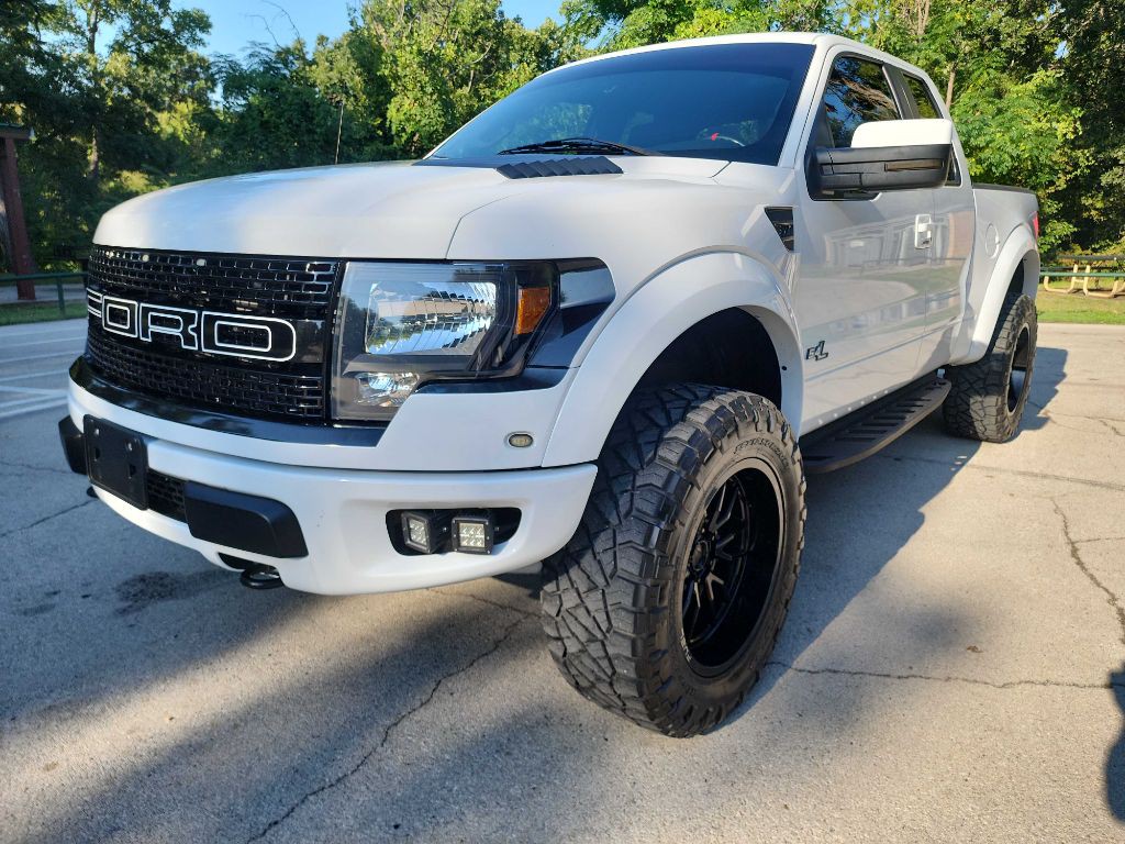 2010 Ford F-150 Image 3