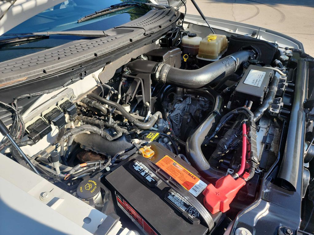 2010 Ford F-150 Image 46