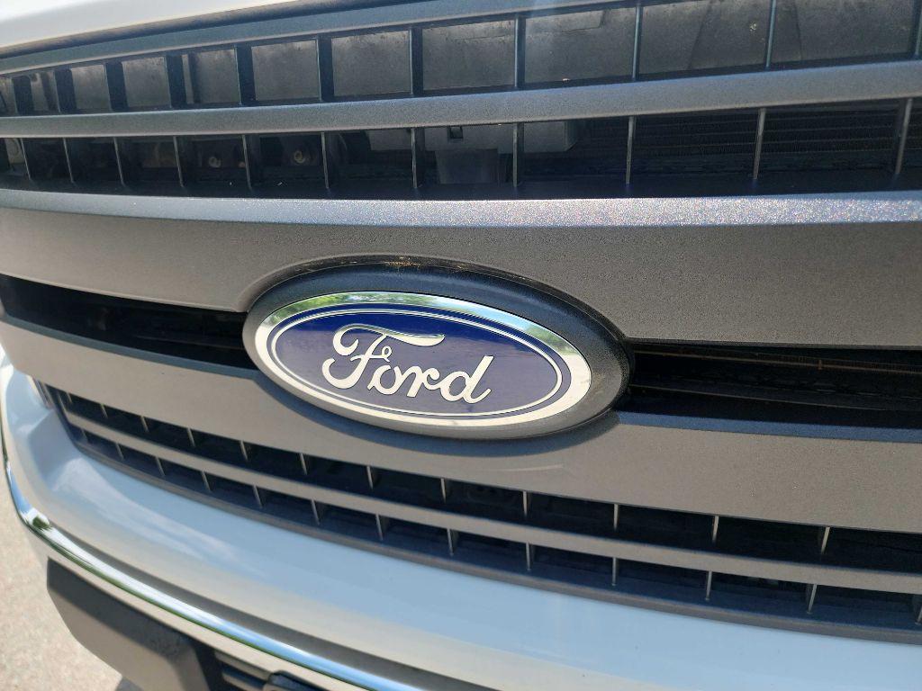 2019 Ford F-150 Image 3