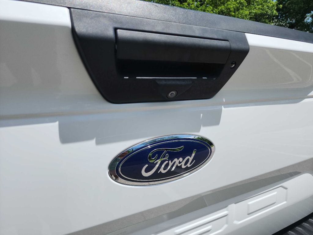 2019 Ford F-150 Image 10