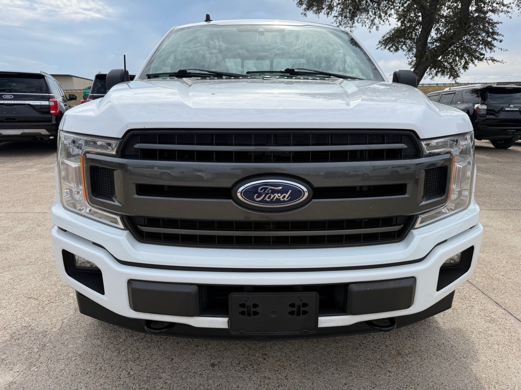 2019 Ford F-150 Image 2